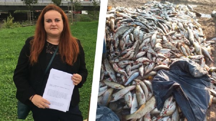 Piráti volají po viníkovi ekologické katastrofy v řece Bečvě, kandidátka na hejtmanku Hana Ančincová podává trestní oznámení