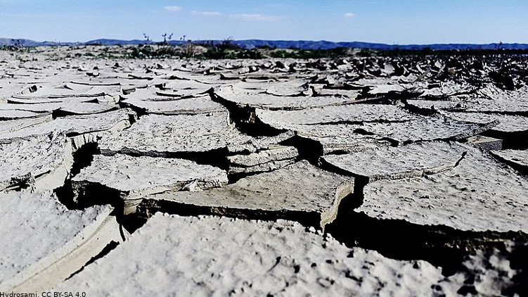Jak prolomit sucho? Odpovědi přivezou do Brna odborníci z celé ČR