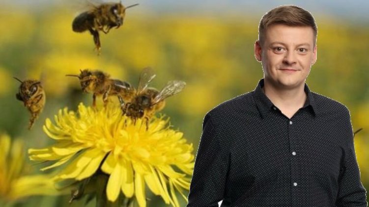 Piráti chtějí digitalizací lépe chránit včely a snížit administrativní zátěž zemědělců
