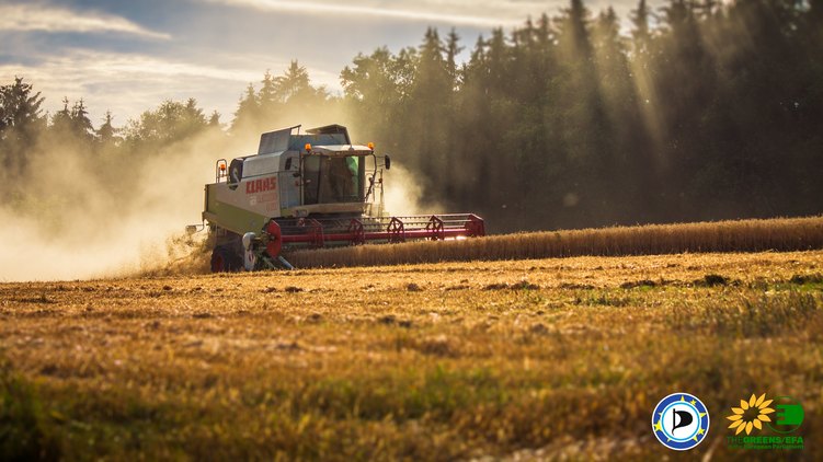 Nová studie: Česko je zemí obřích agrobyznysů, na Slovensku řádí dotační mafie